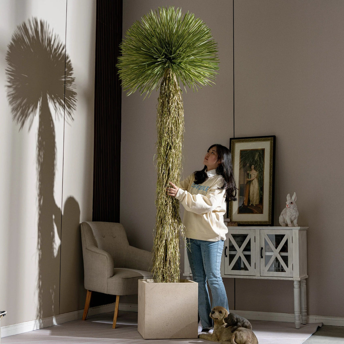 Leaf crowns of the dracaena seen from above, fanning out from each stem