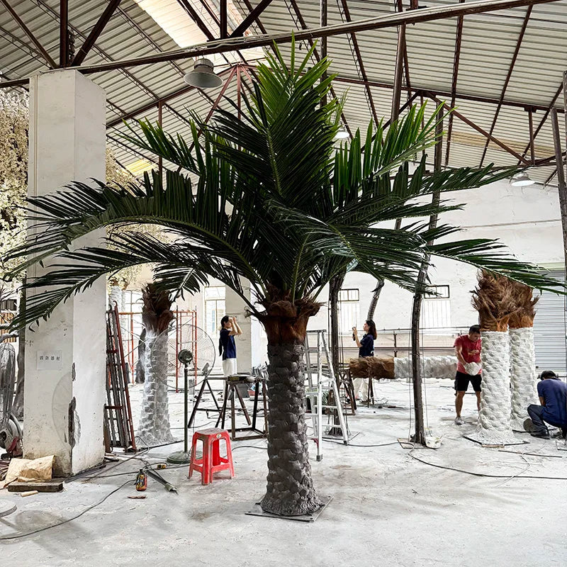 The 3.6m Canary date palm planted outdoors in a garden landscape scheme