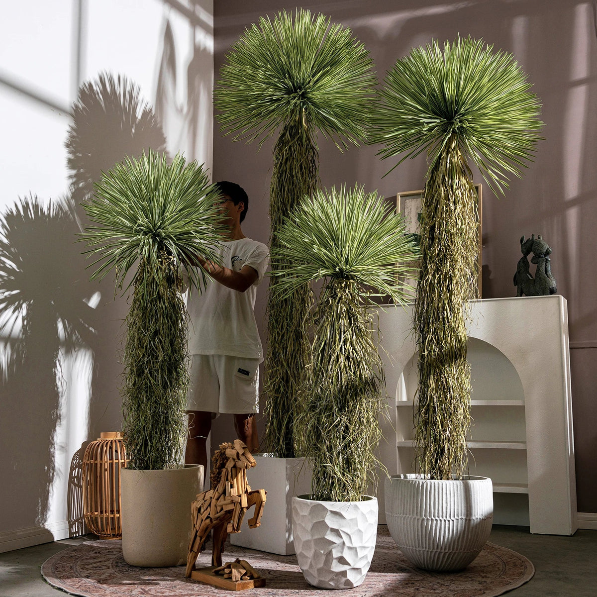 The 8.5ft dracaena tree in a hotel lobby standing beside a seating group