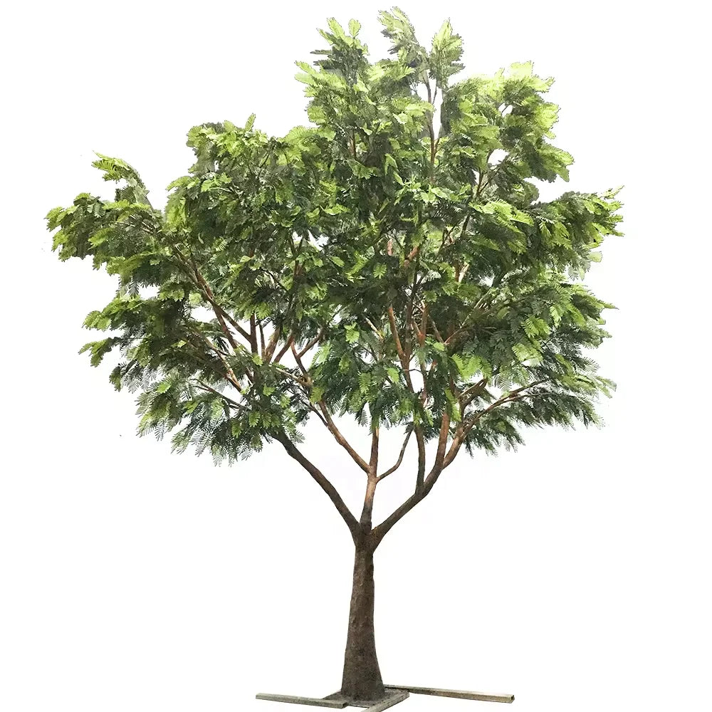 The branching of the acacia tree, limbs spreading wide into a flat crown