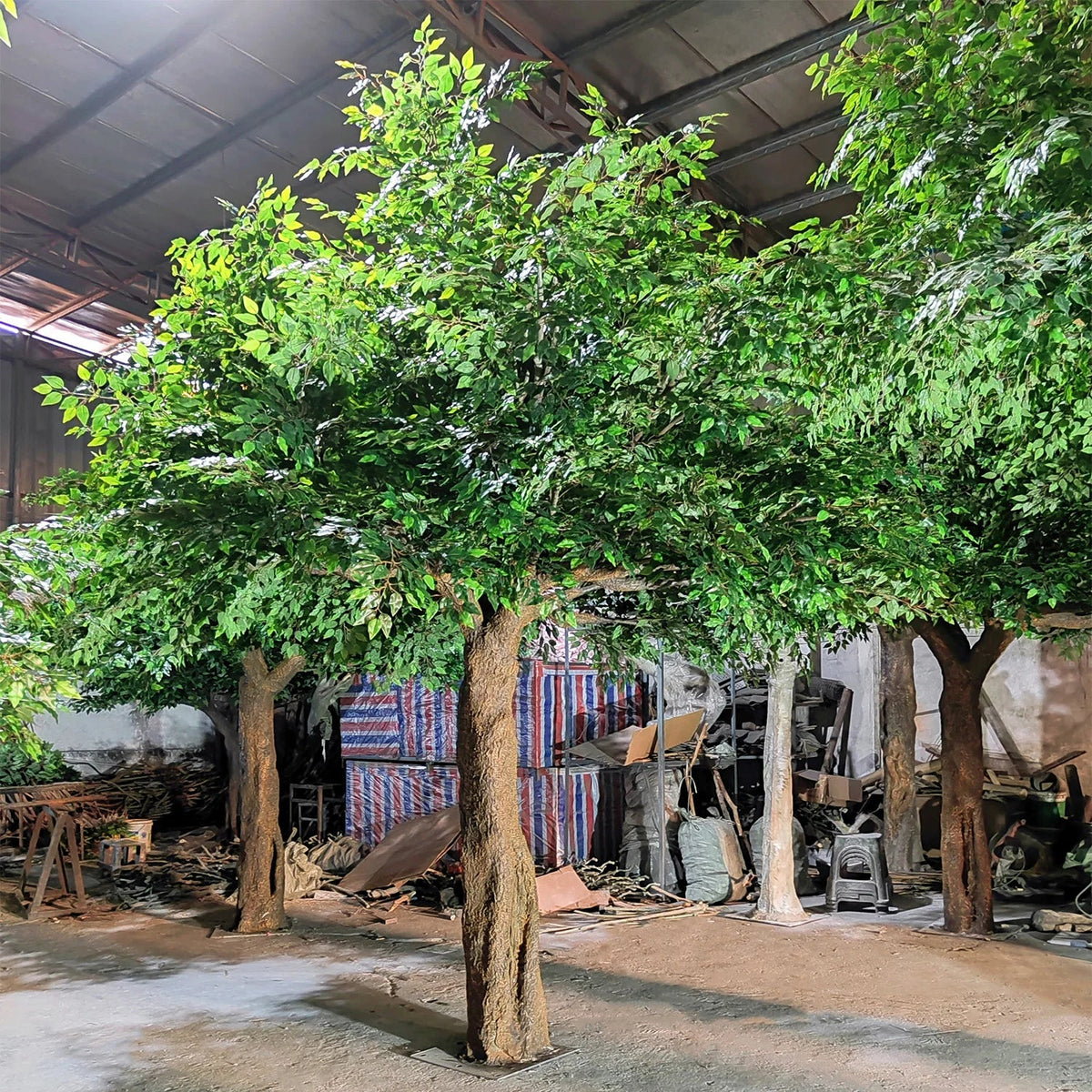 The 16.5ft banyan filling a shopping mall atrium with its green canopy