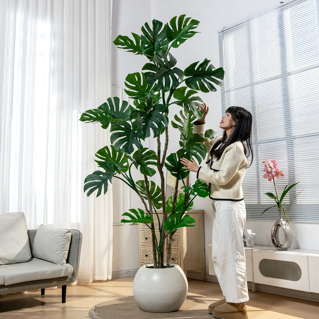 The monstera tree in an office interior standing beside a glazed meeting room