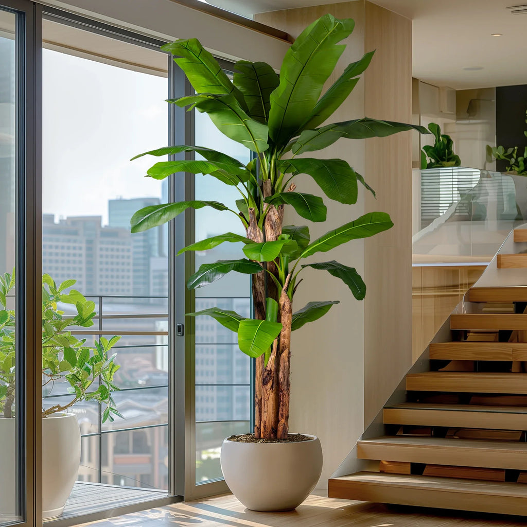New leaves furled tight at the centre of the artificial banana plant