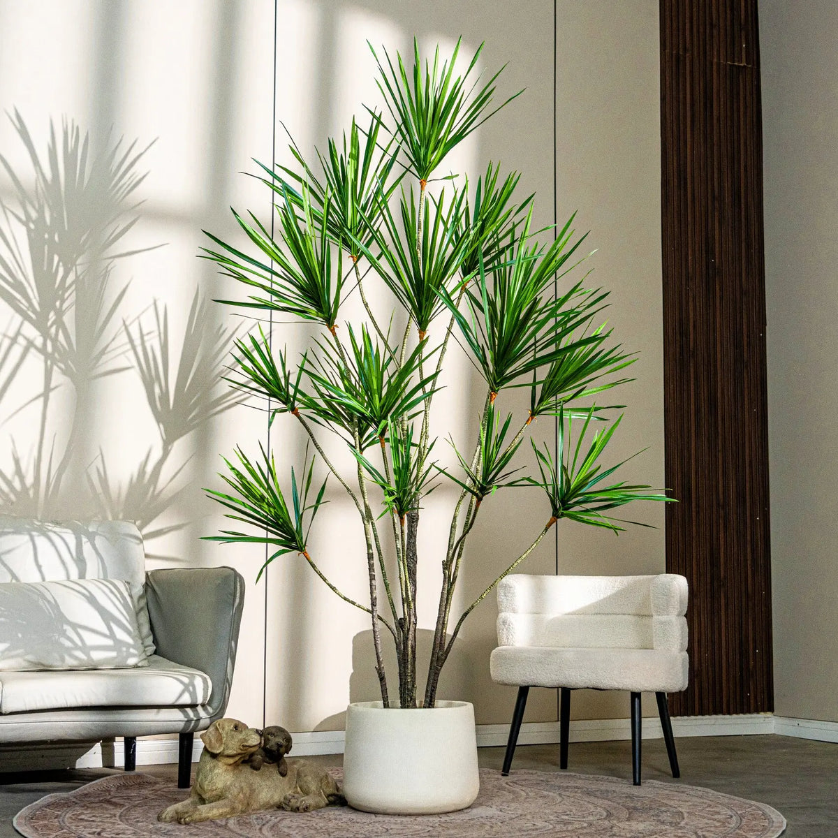 The bare canes of the yucca tree rising in a staggered cluster from the pot