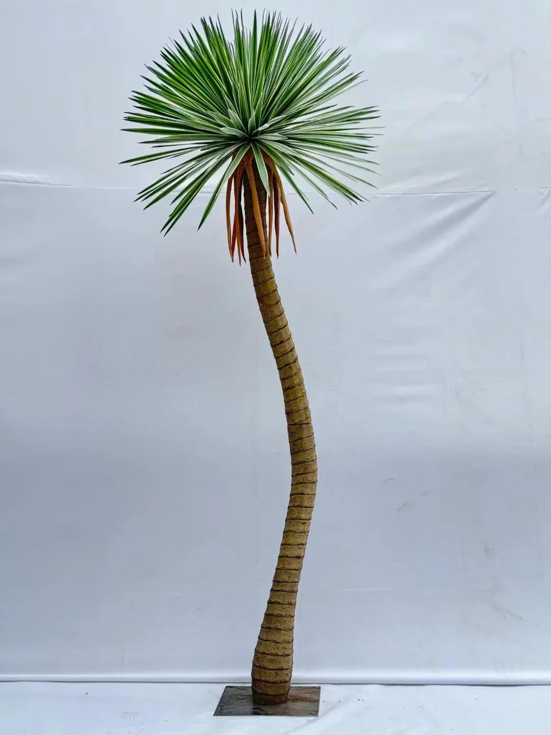 The 6.7ft and 11.8ft versions of the tree shown together for height comparison