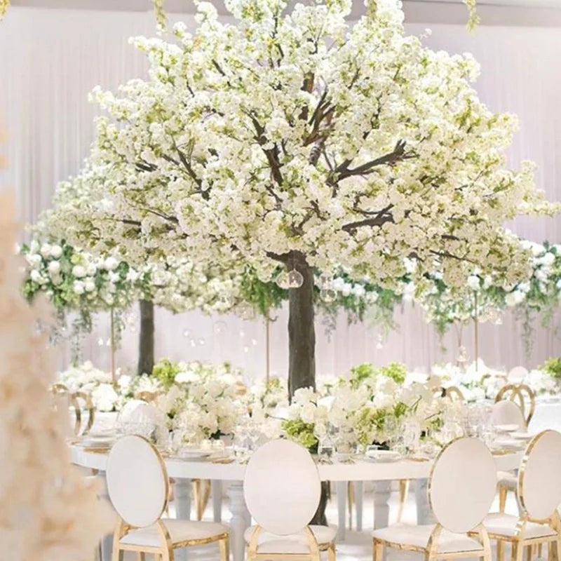 Base of the 10ft cherry blossom tree where the trunk meets its planter