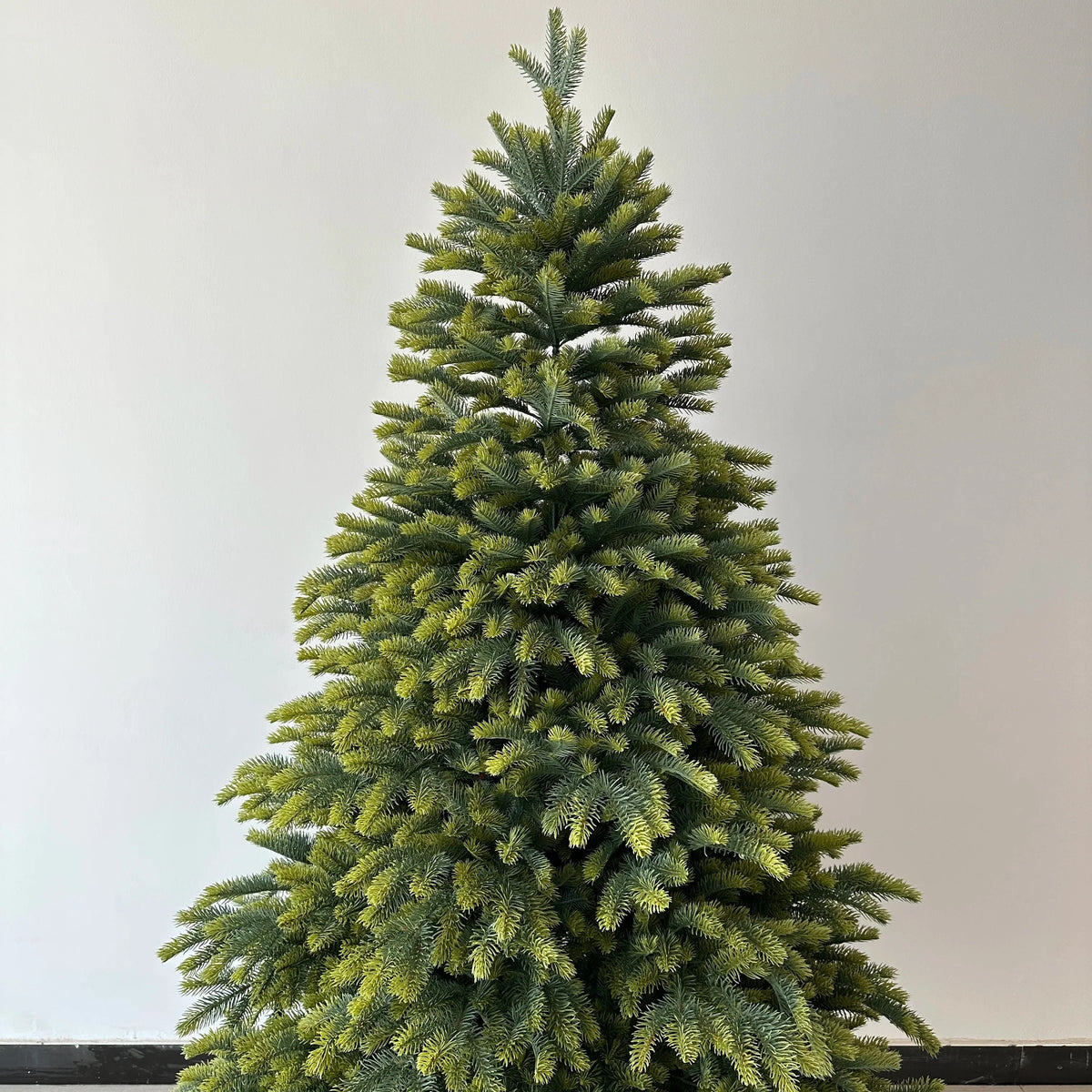 Branch tiers of the spruce tree opening out in layers from the centre pole