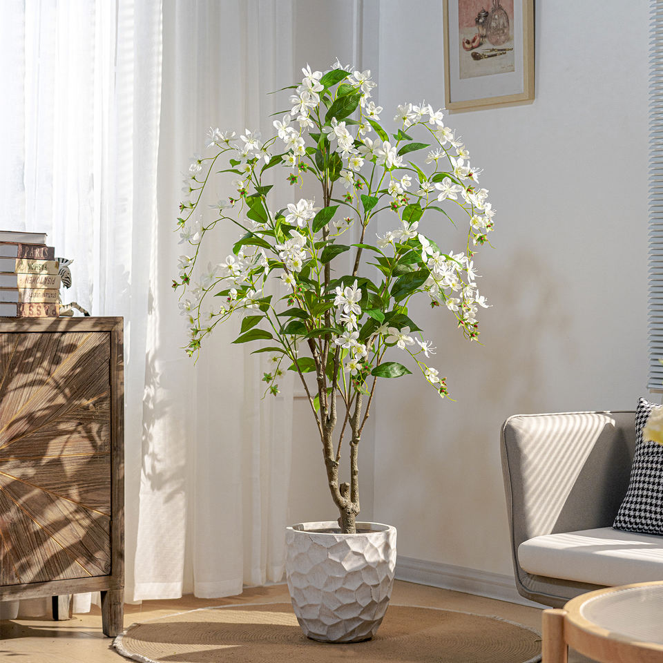 The purple flowering version of the jasmine tree shown against a plain wall