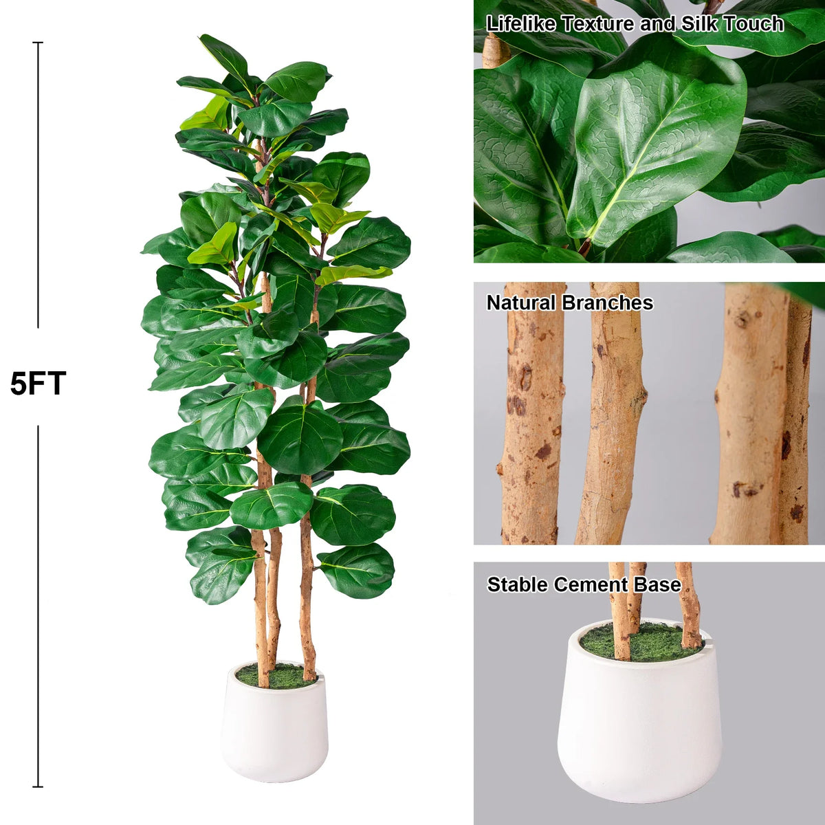 The banyan trunk and its aerial roots at the base of the potted ficus tree