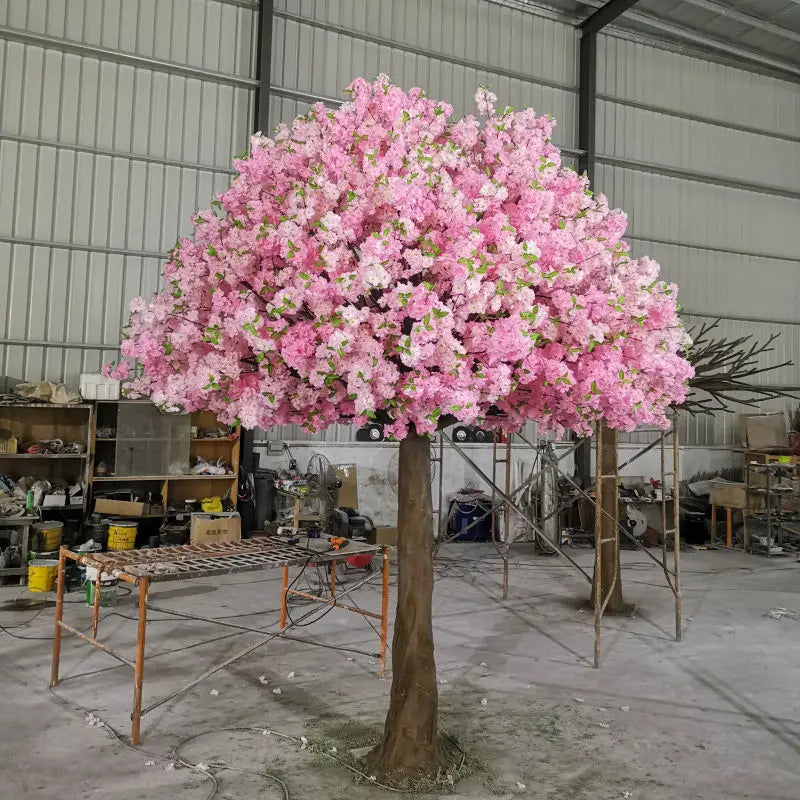 Base of the blossom tree where the trunk sets down into its planter