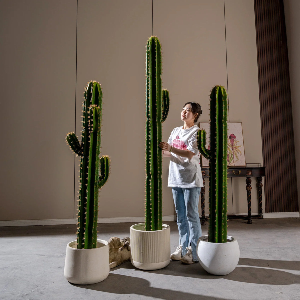 The cactus set on a desk as low-maintenance greenery in an office interior