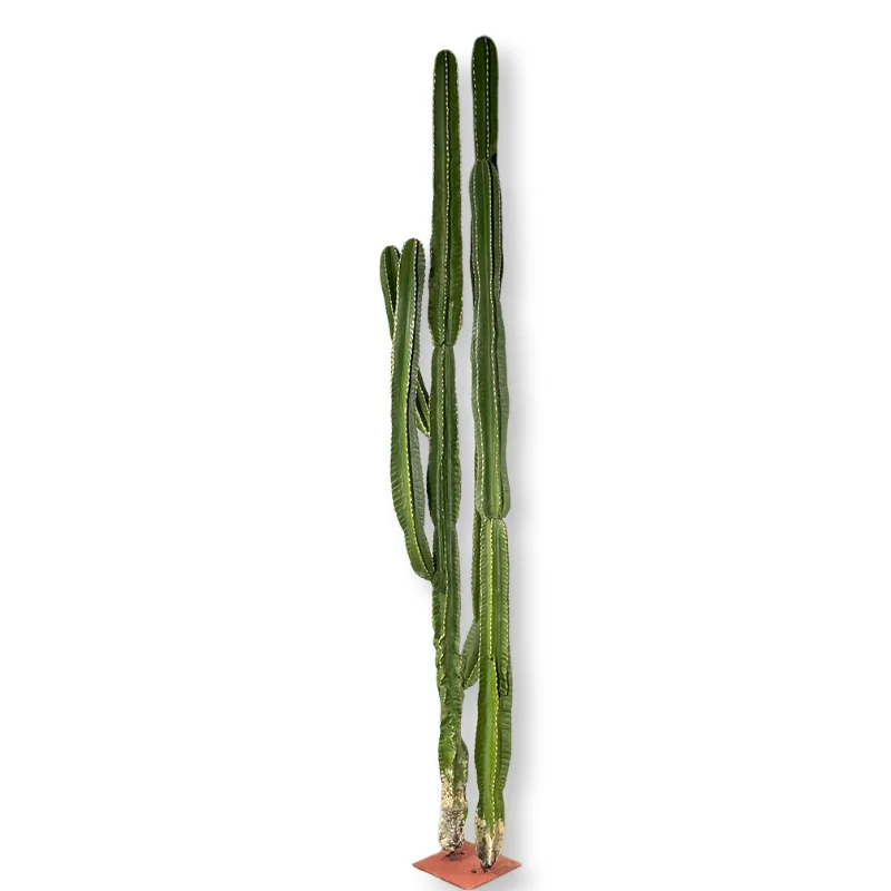 Artificial cactus in PU, 6.5ft (1.9m) tall, with ribbed columnar arms and fine spines