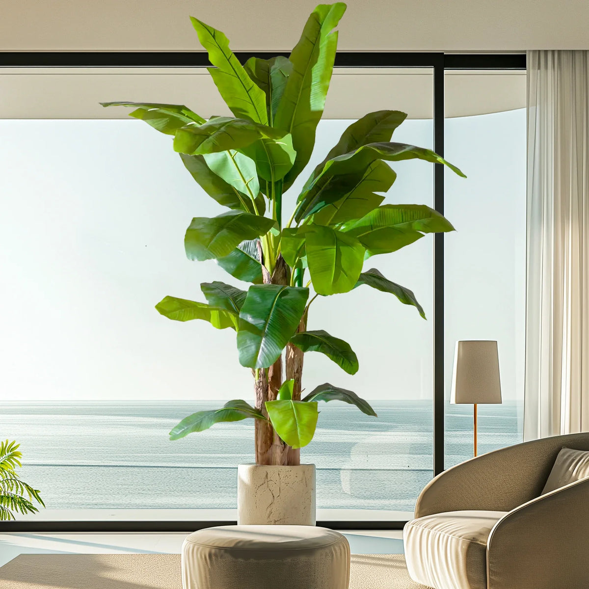 The banana tree at a patio entryway standing beside a pair of glazed doors