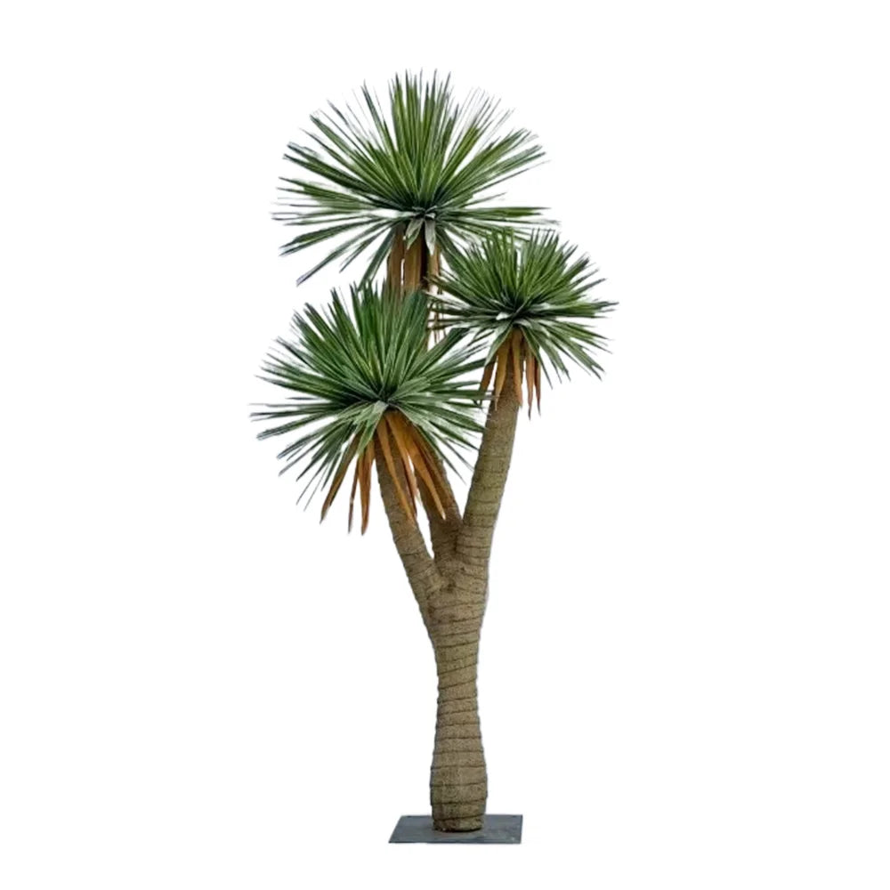 The UV-resistant sisal seen from above with its leaves radiating outward
