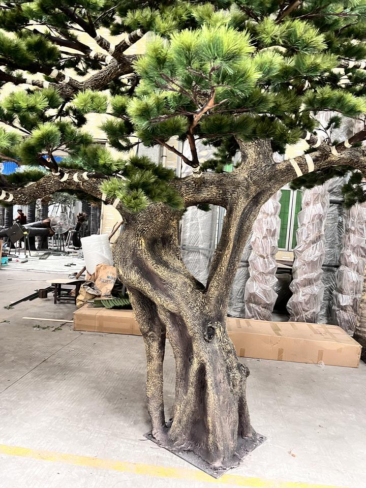 The sculpted bonsai trunk twisting up from the base to the lowest branch pad