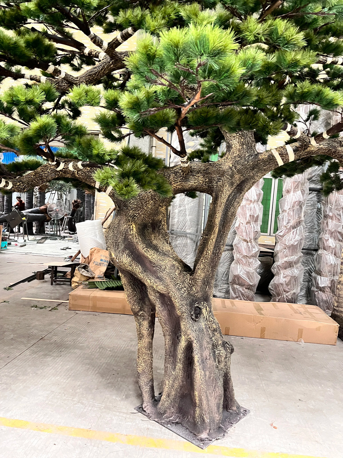 The 3.5m pine tree standing indoors as a tall evergreen display feature