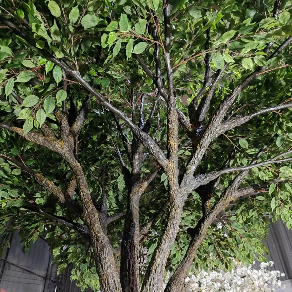 Close-up of the lush banyan leaves layered thickly along the branch tips