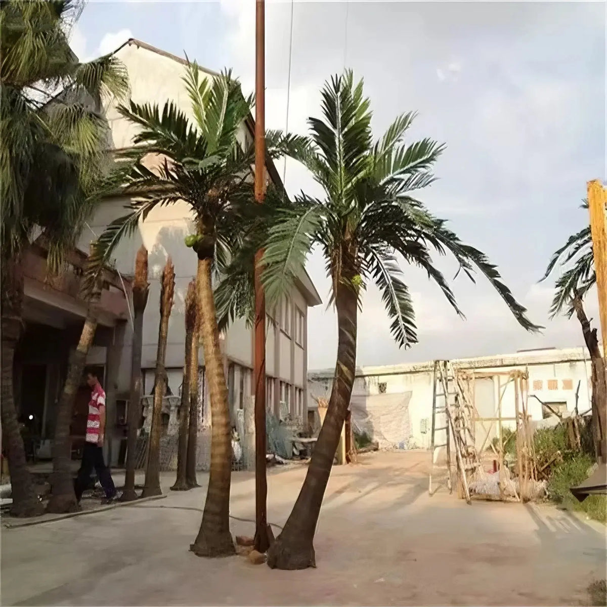 Artificial coconut palm for outdoor commercial landscaping, tall with arching fronds