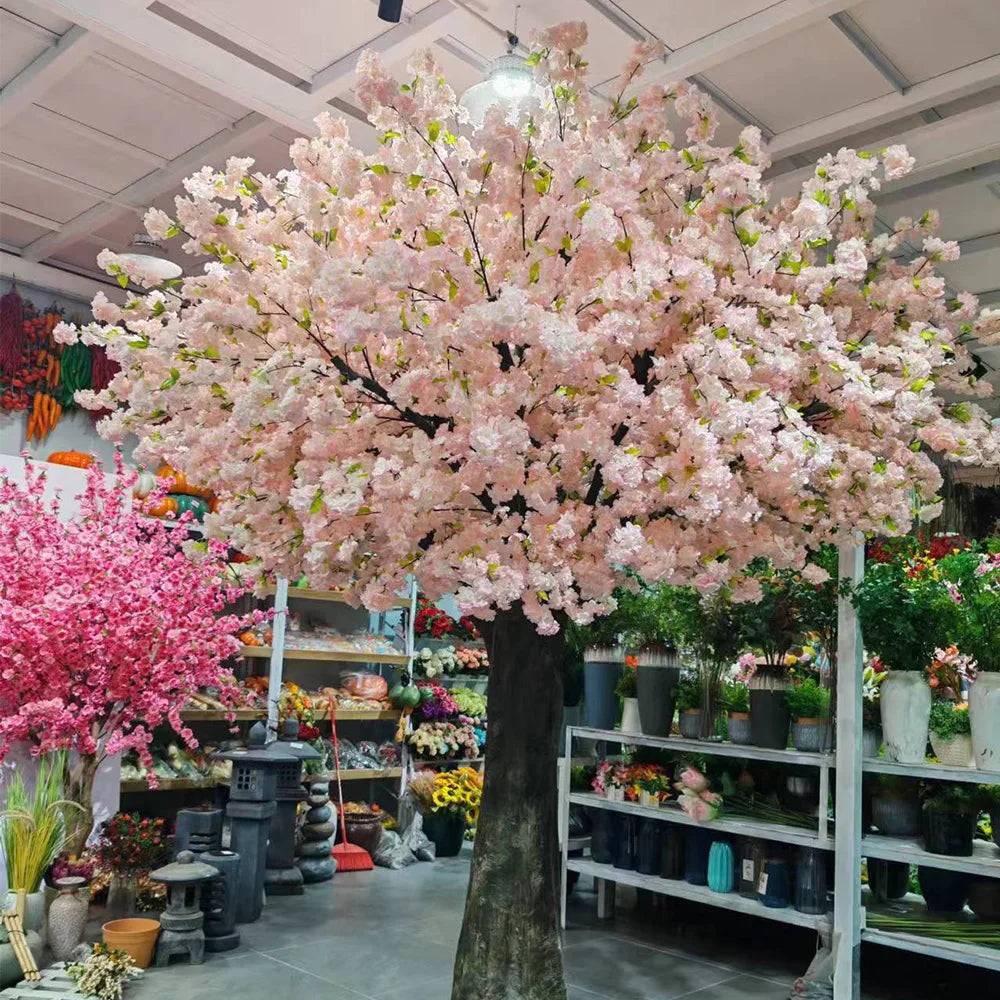 Base of the 6m cherry blossom arch where the trunk meets the ground