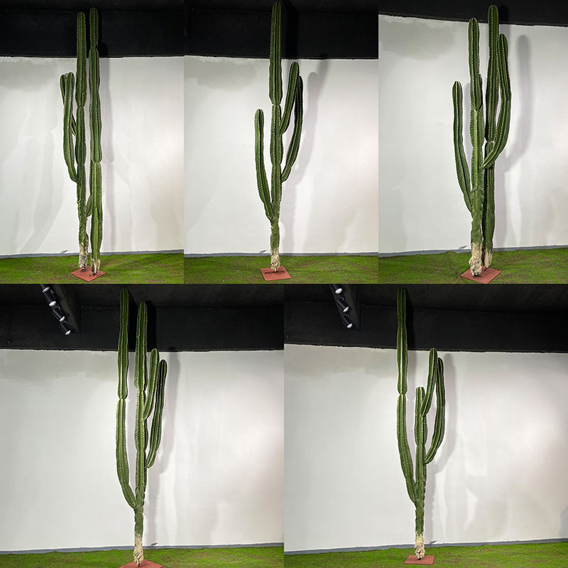 The 6.5ft faux cactus standing in a hotel lobby beside a pale plaster wall