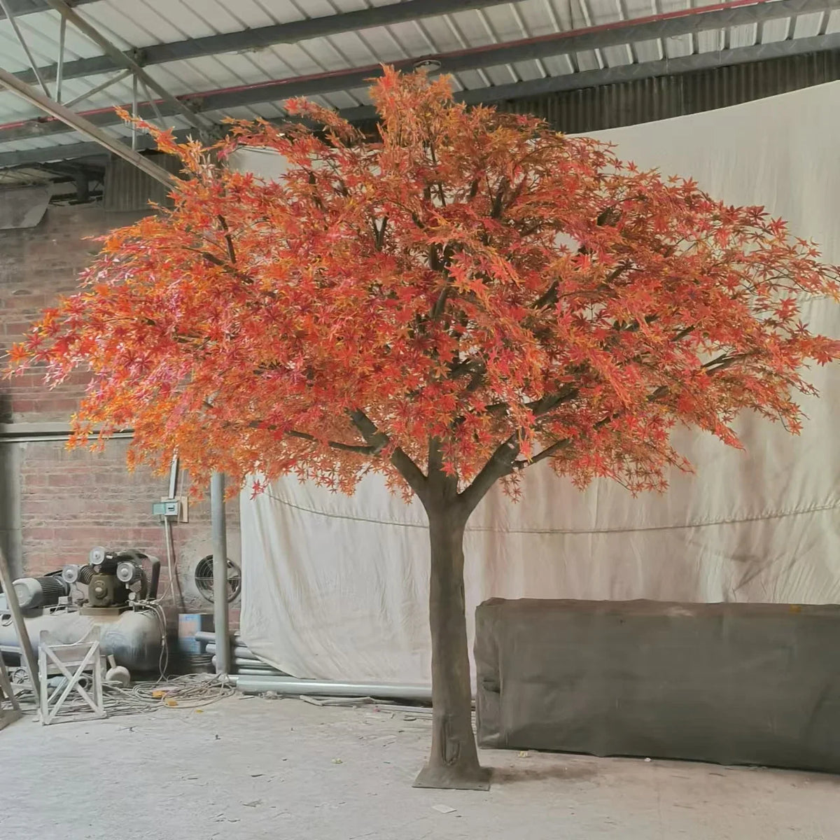 The trunk and branch frame of the 3m maple tree beneath its leafy canopy