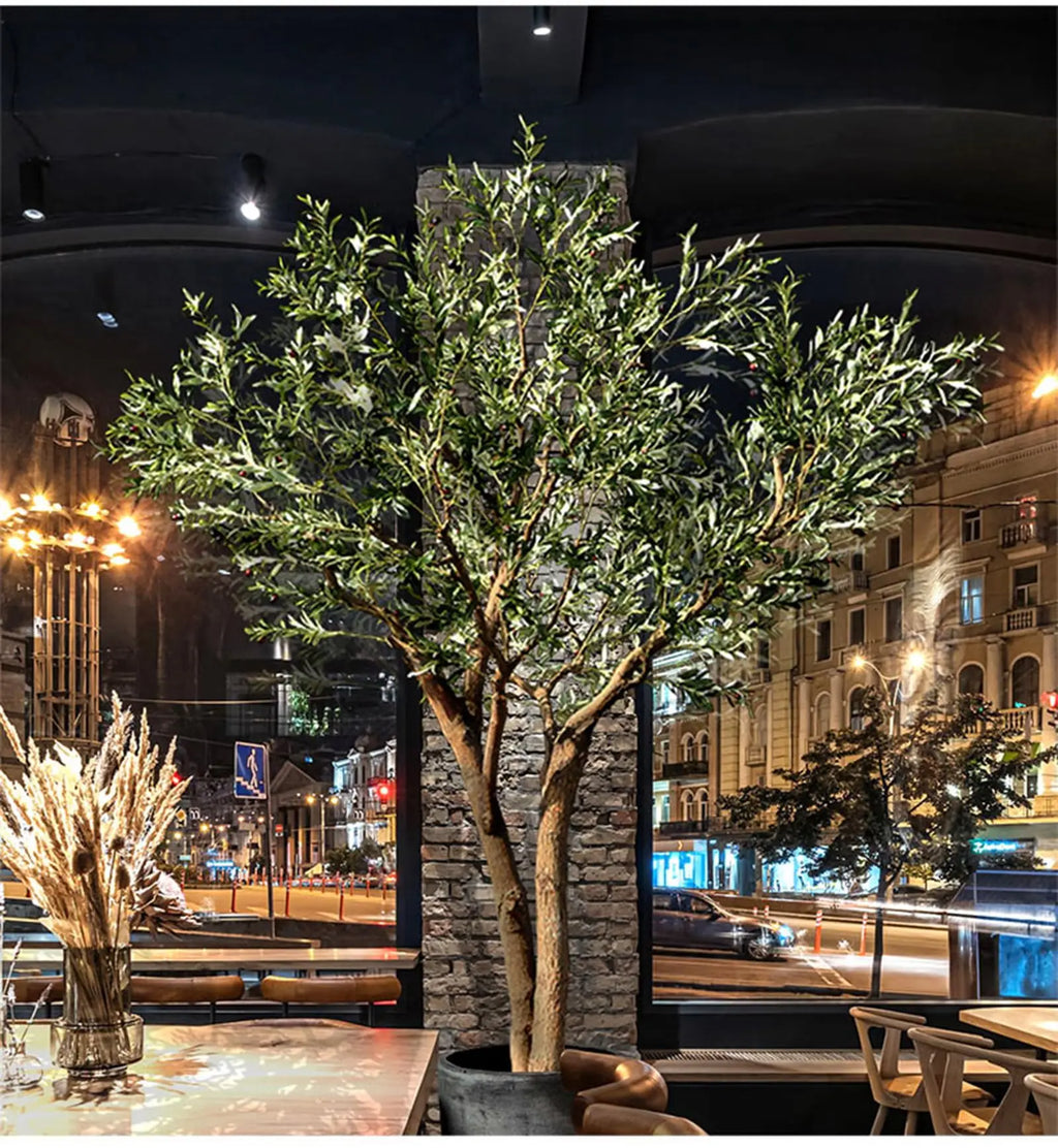 Base of the 10ft olive tree where the wood trunk meets its planter