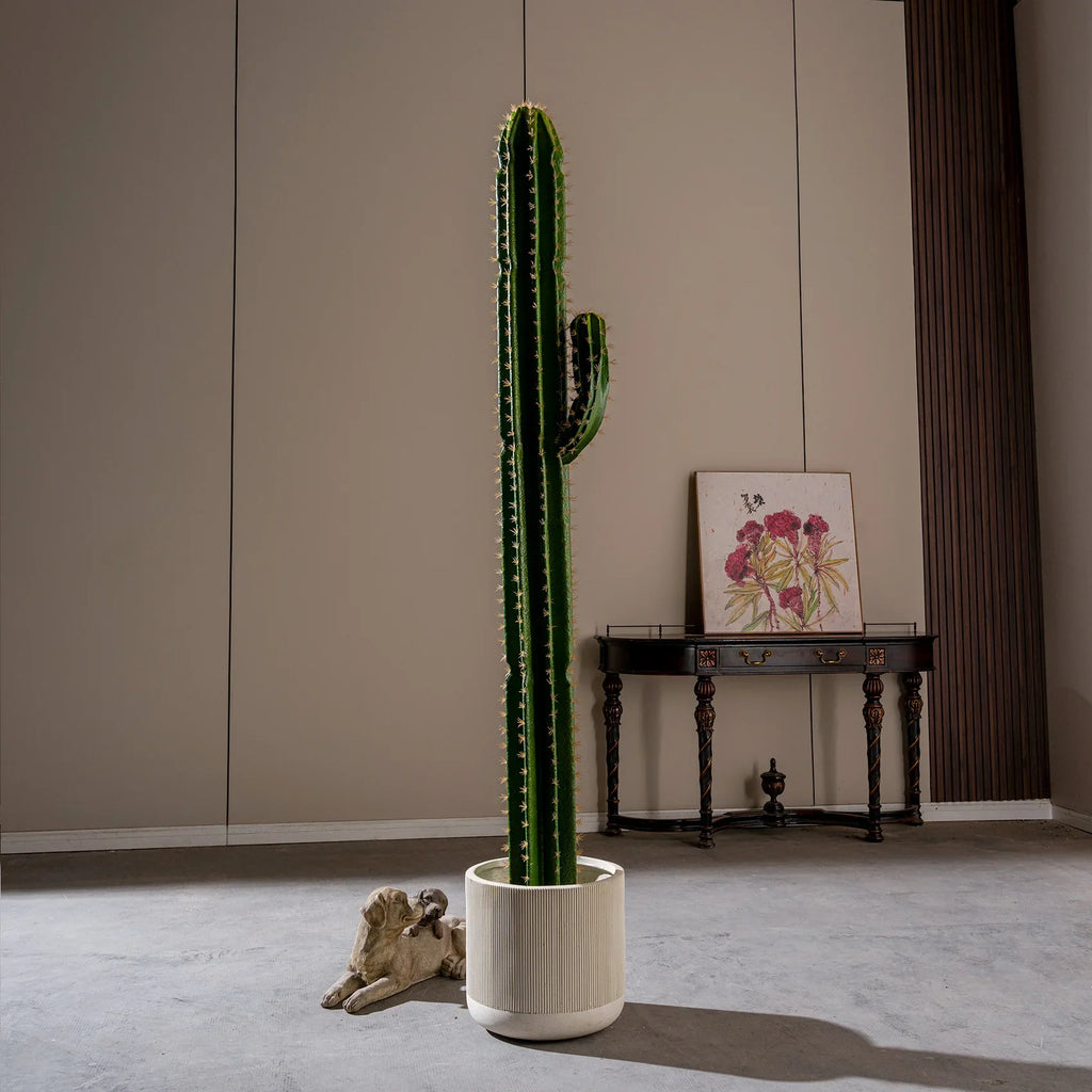 The rounded growing tips at the top of each of the cactus columns