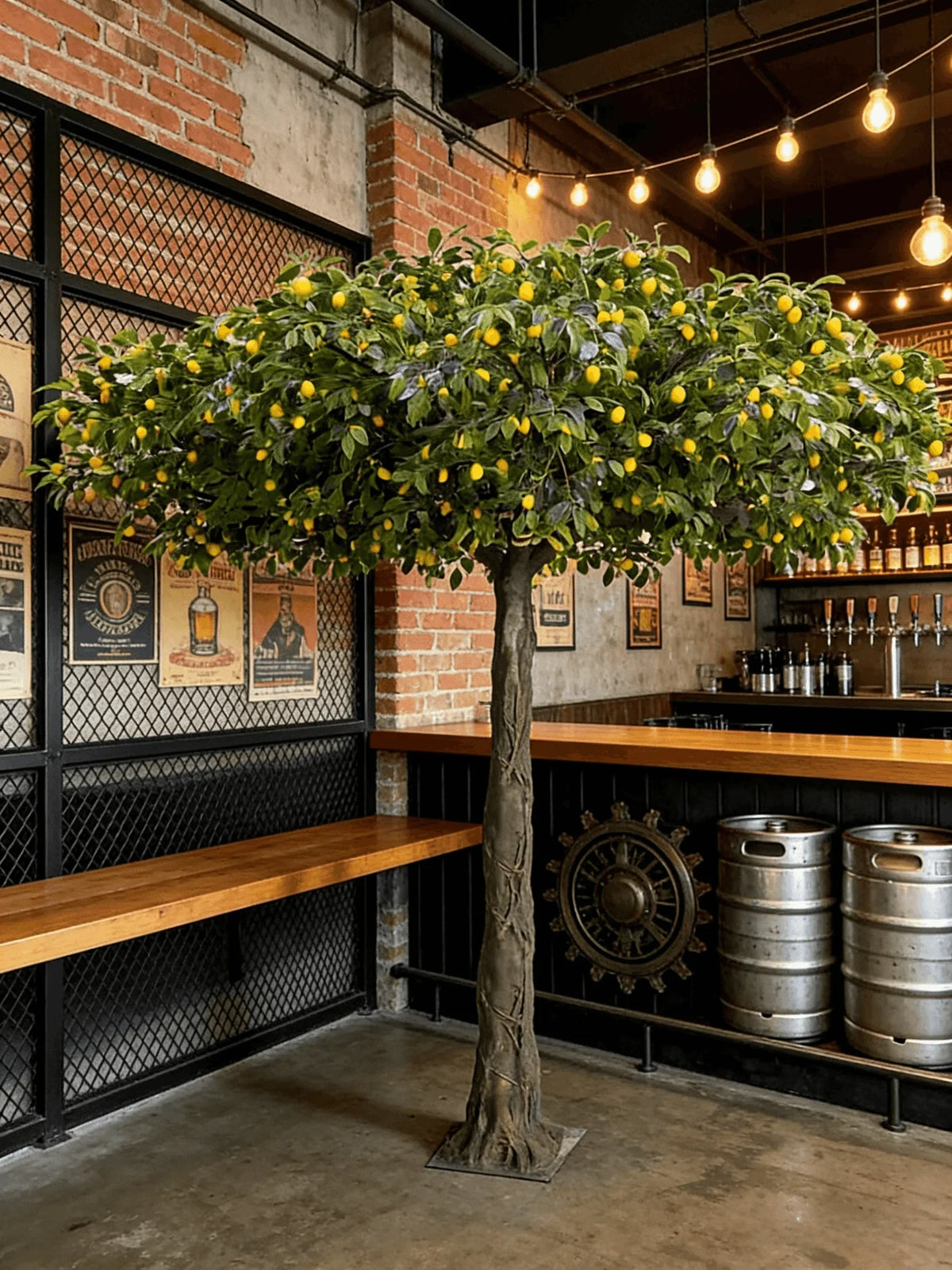 The lemon tree on a covered patio standing beside outdoor dining furniture