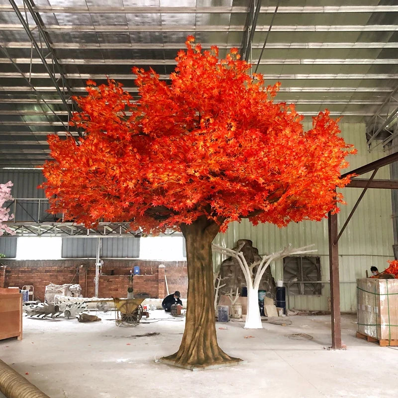 The autumn canopy tree used indoors, spreading above a lobby seating area