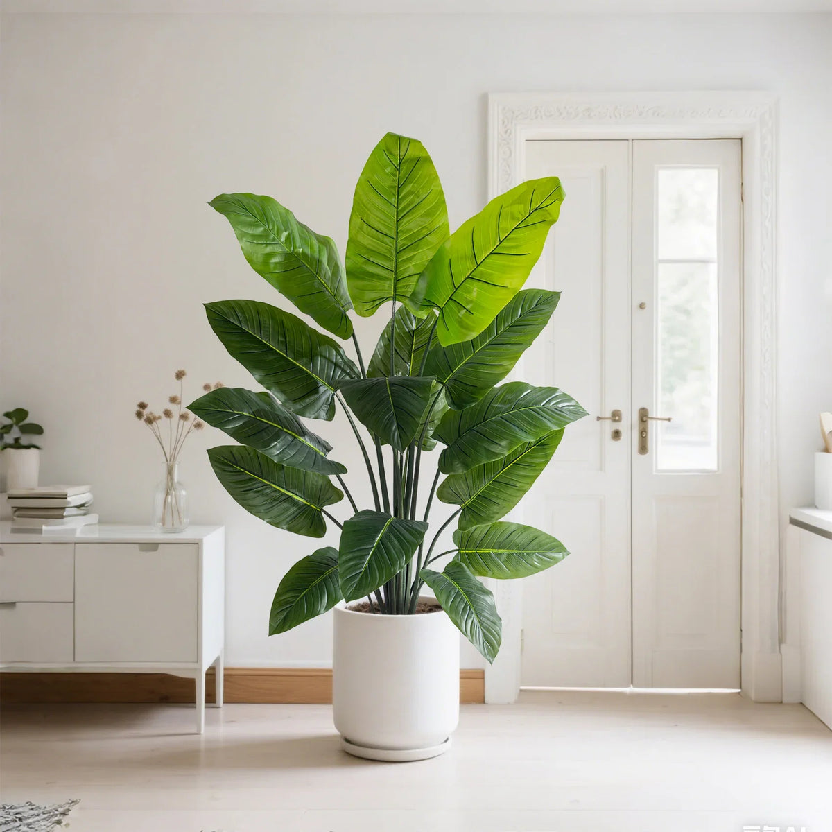 The faux taro plant in a home interior standing beside a bright window