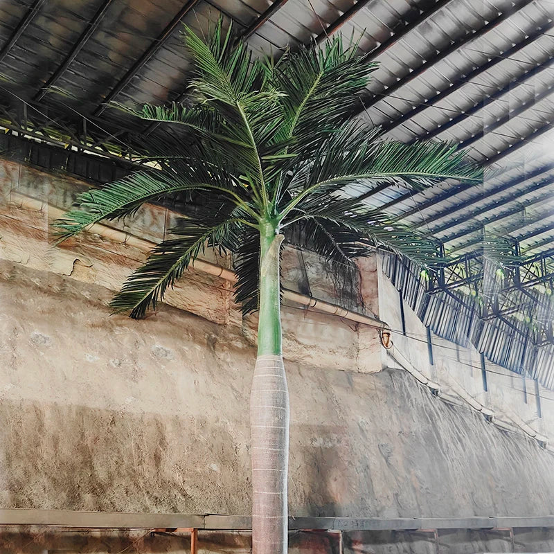 The crown of the king coconut palm seen from below against a bright sky