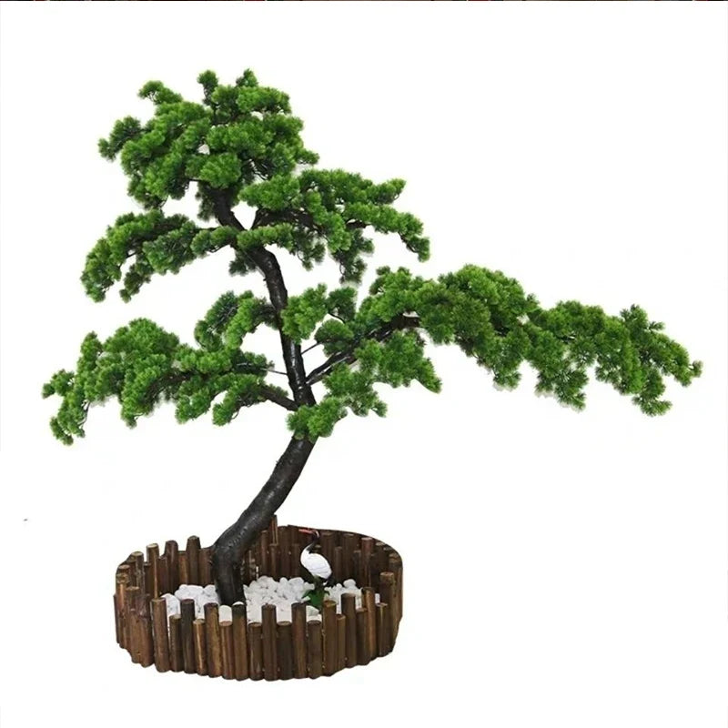 The 6ft pine bonsai used outdoors on a covered terrace beside seating