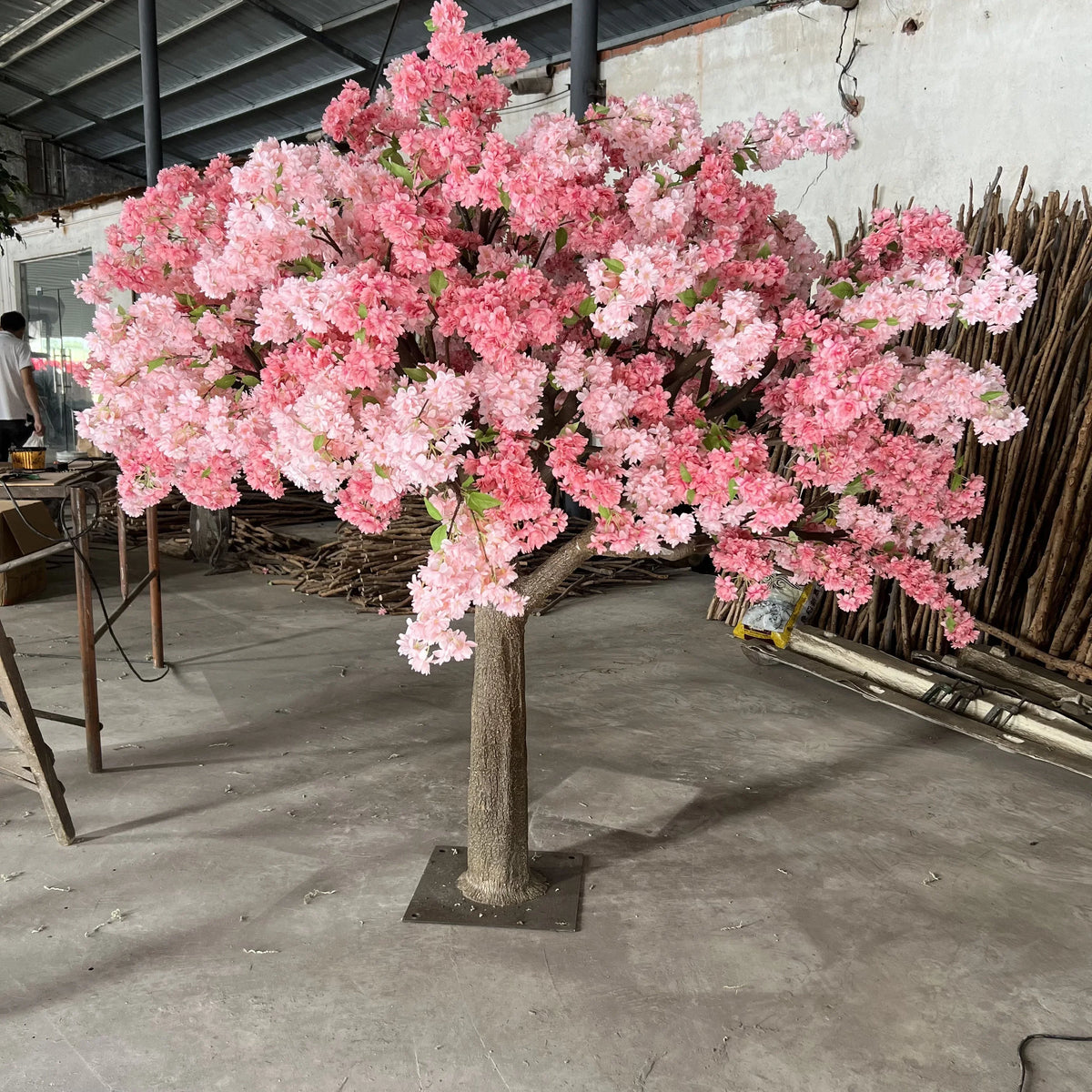 The trunk and branch frame of the 5ft blossom tree beneath the flowers