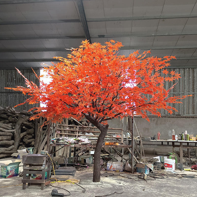 The lit maple tree after dark in a restaurant bar, glowing through the leaves