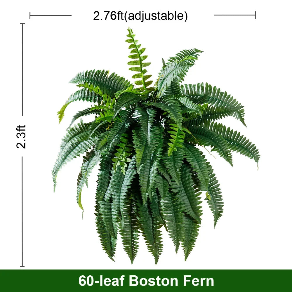 Close-up of a Boston fern frond showing the fine paired leaflets along the rib