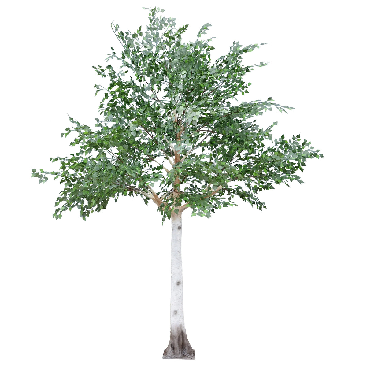 Artificial birch tree 11ft (3.3m) tall, pale silver trunk under a light green canopy