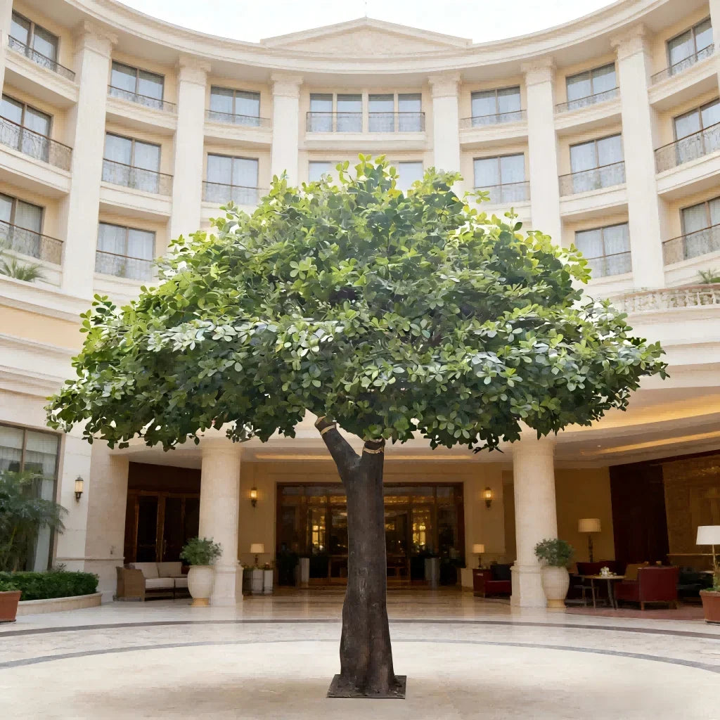 Artificial clusia tree 11.5ft (3.5m) tall with glossy round leaves on a fibreglass trunk