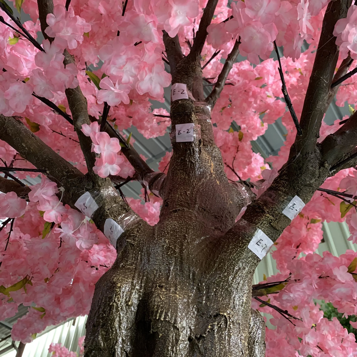 The 300cm blossom tree used outdoors beside a paved garden terrace