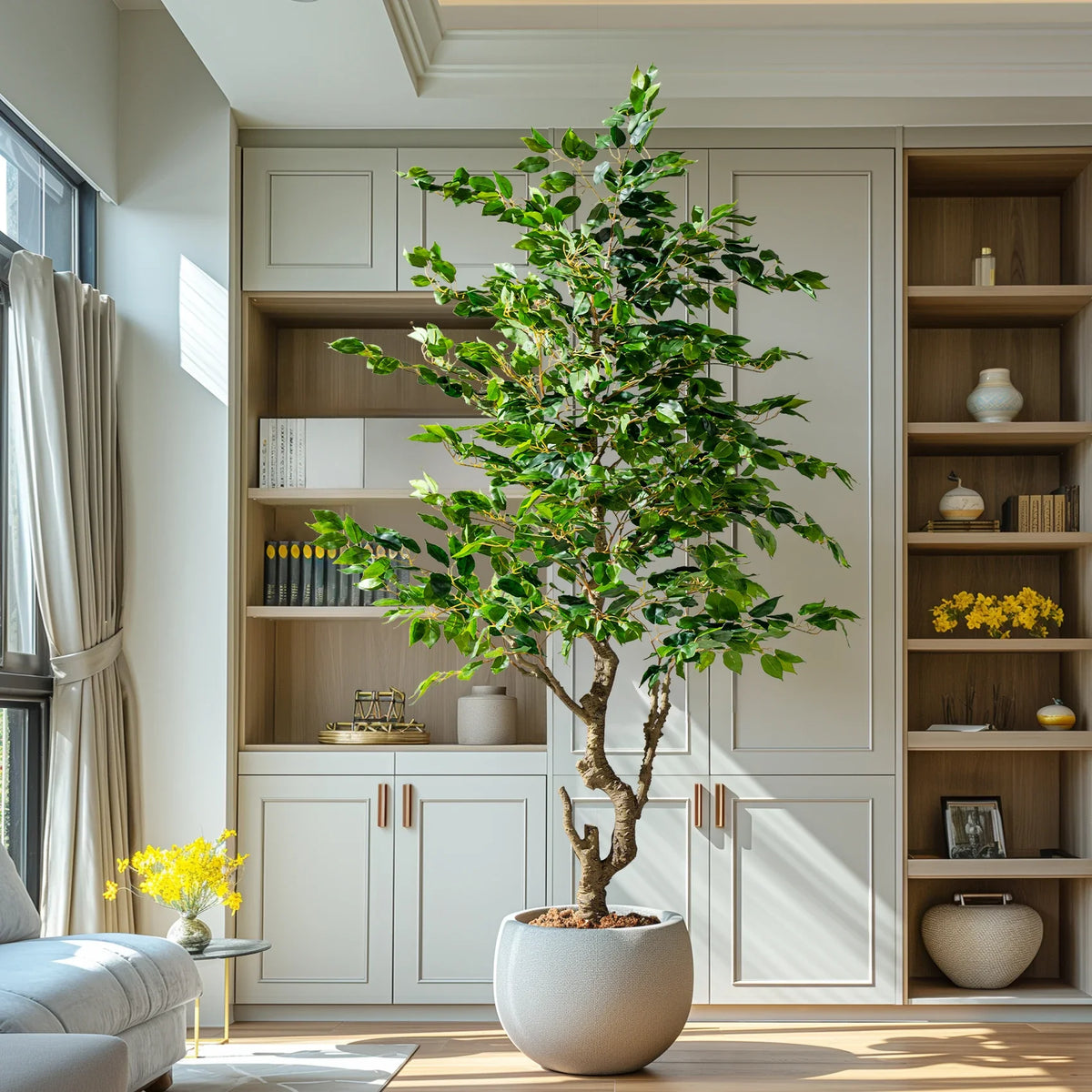 A single banyan branch shown apart from the tree, leaves along the stem