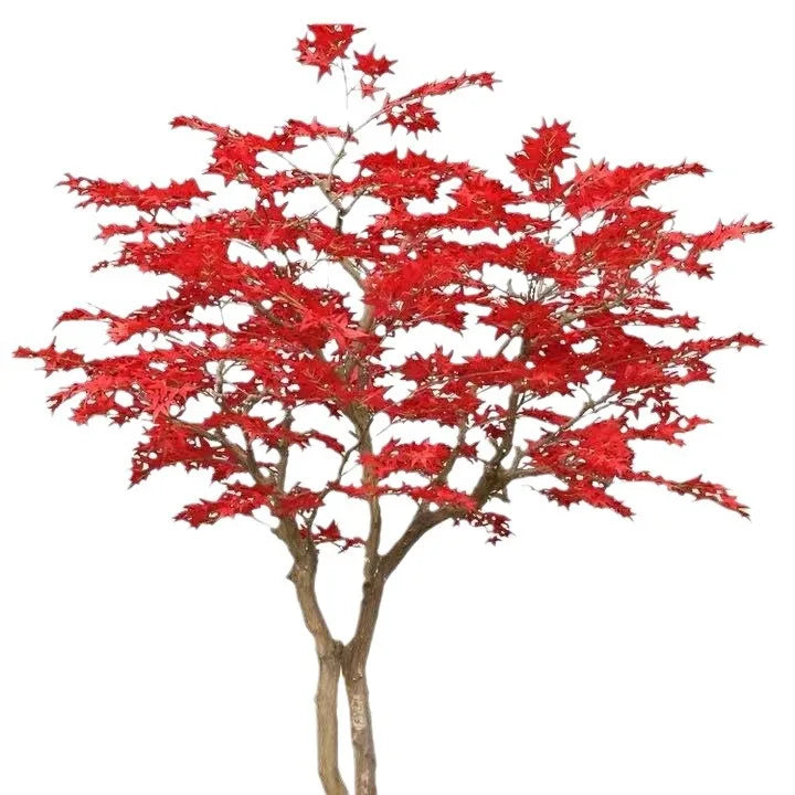 The red maple used in a shopping mall as a large-scale seasonal feature