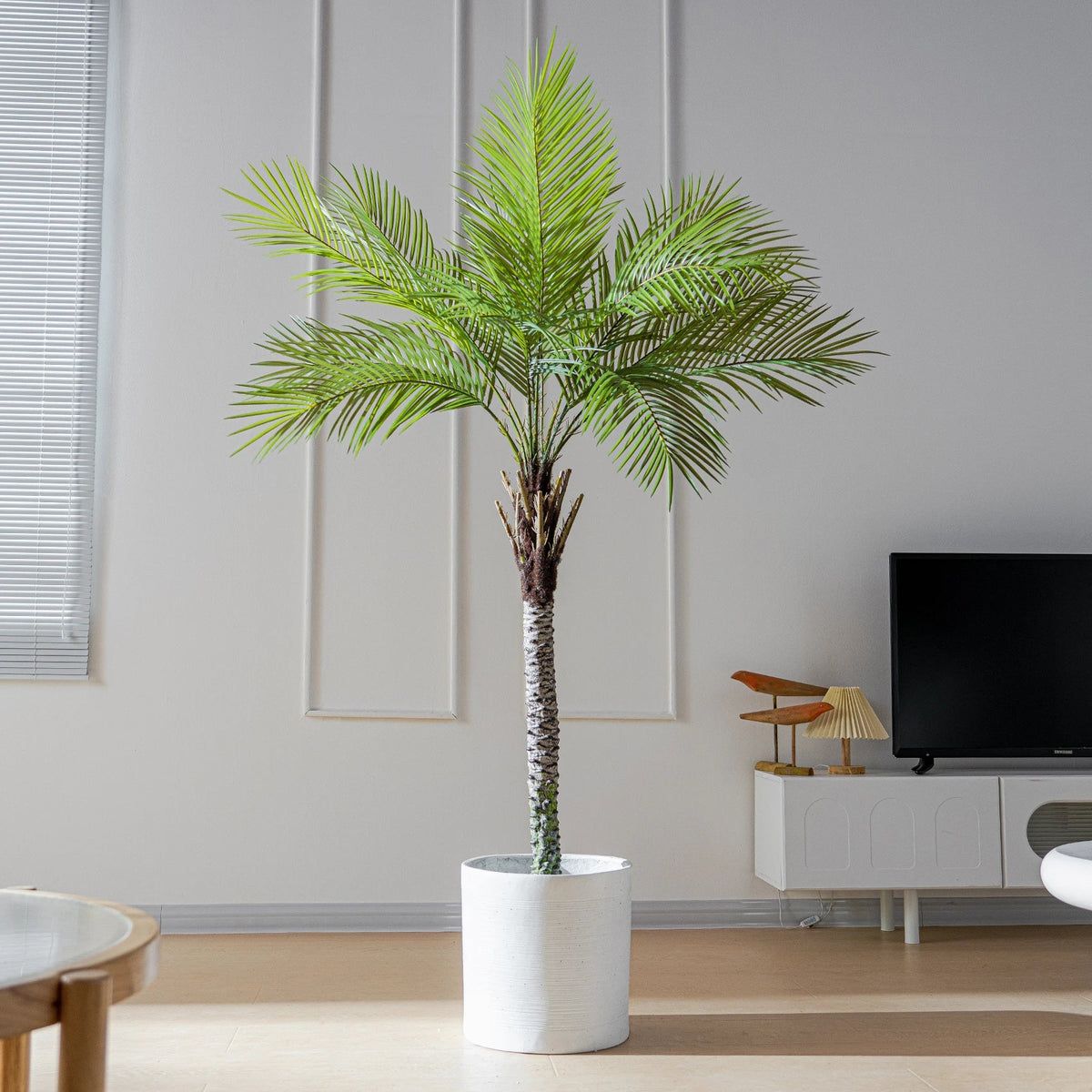 The 7.5ft palm in an indoor corner standing beside a window and armchair