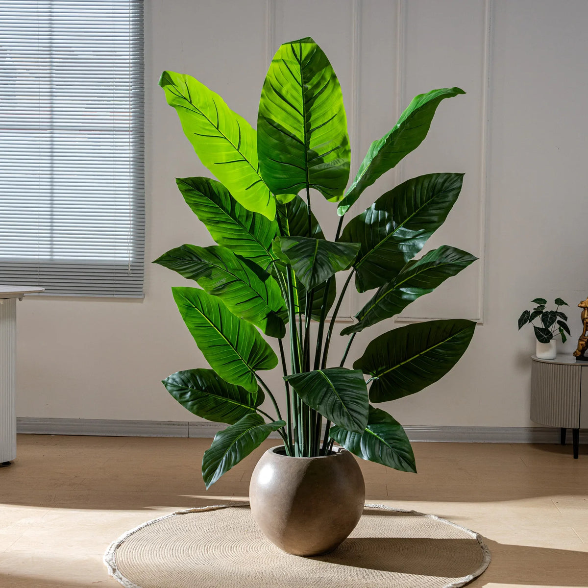 Smaller taro leaves arranged as a tabletop display in a shallow bowl