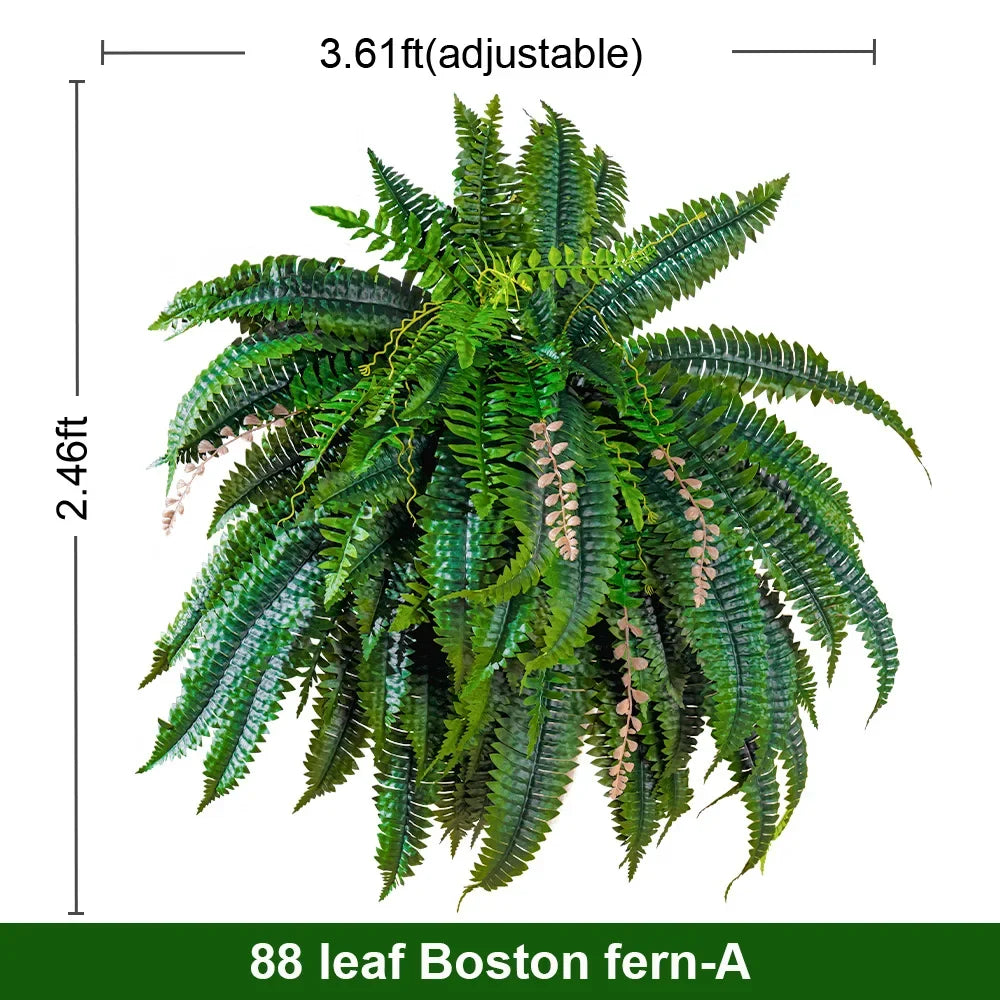The fern seen from above, fronds radiating out from a dense green centre