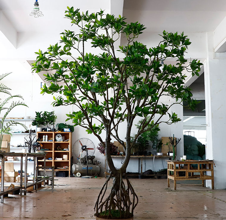 The potted mangrove tree in a themed museum display of a coastal forest