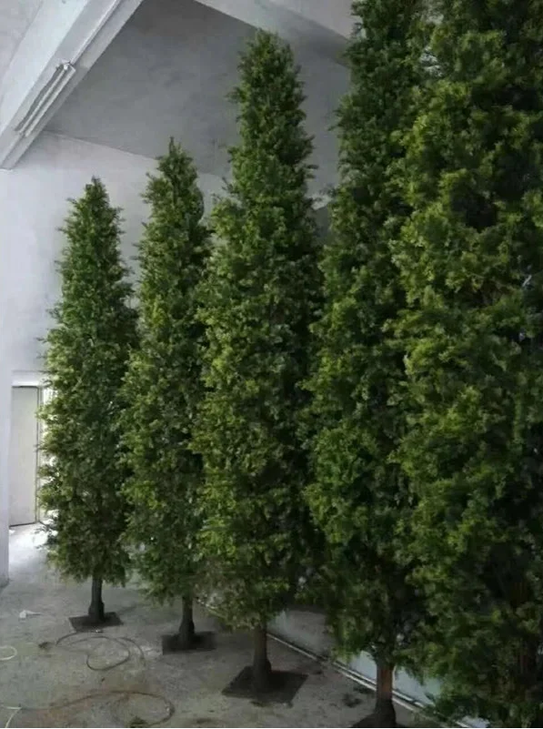 The trunk of the 3.5m cypress rising up through its column of foliage