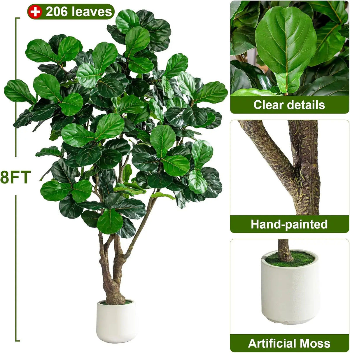 The slim trunk of the fiddle leaf fig rising up from its potted base