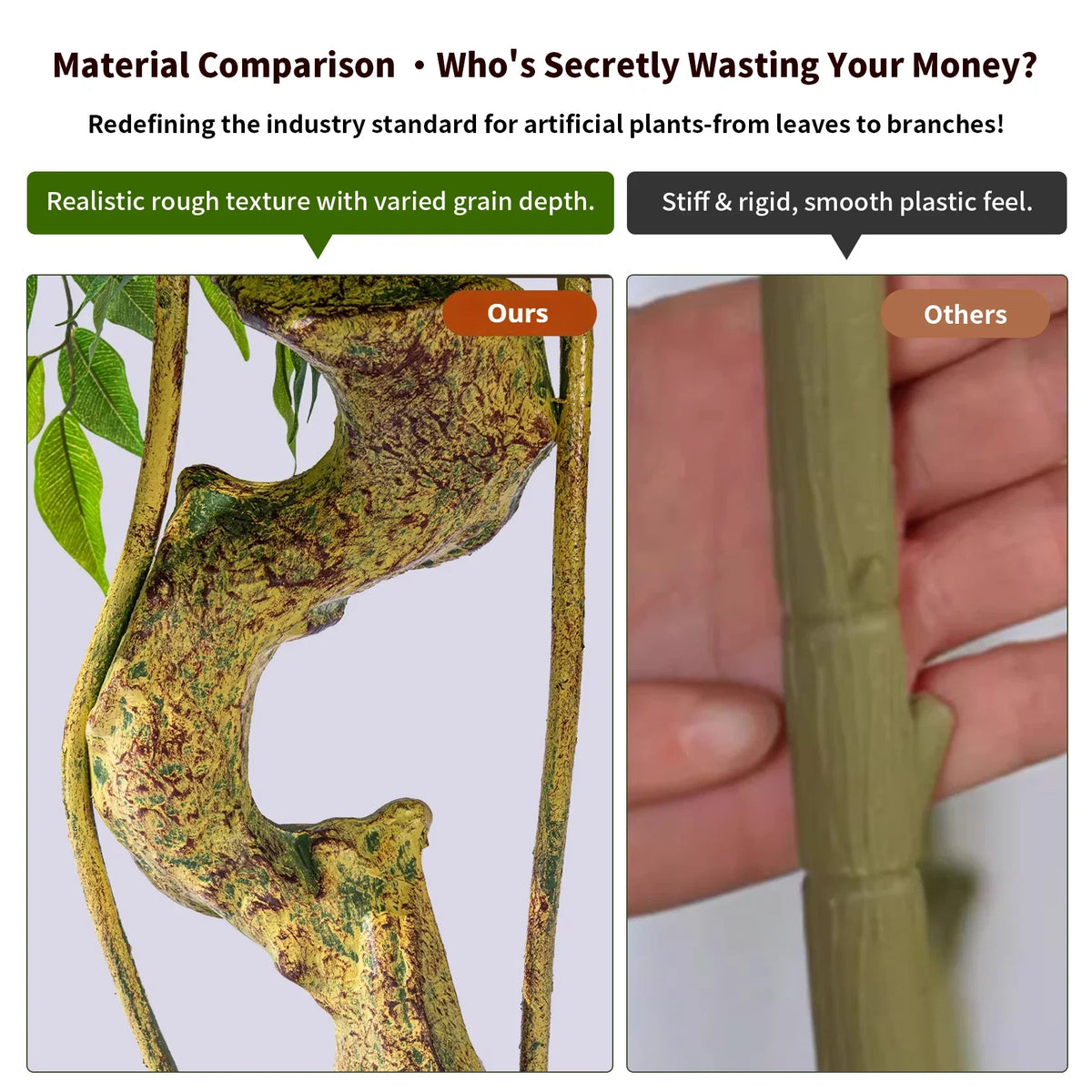 Branch tips of the ficus, leaves layered to build up a dense green surface