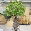 Artificial mangrove 8ft tall, glossy leaves on wide spreading branches