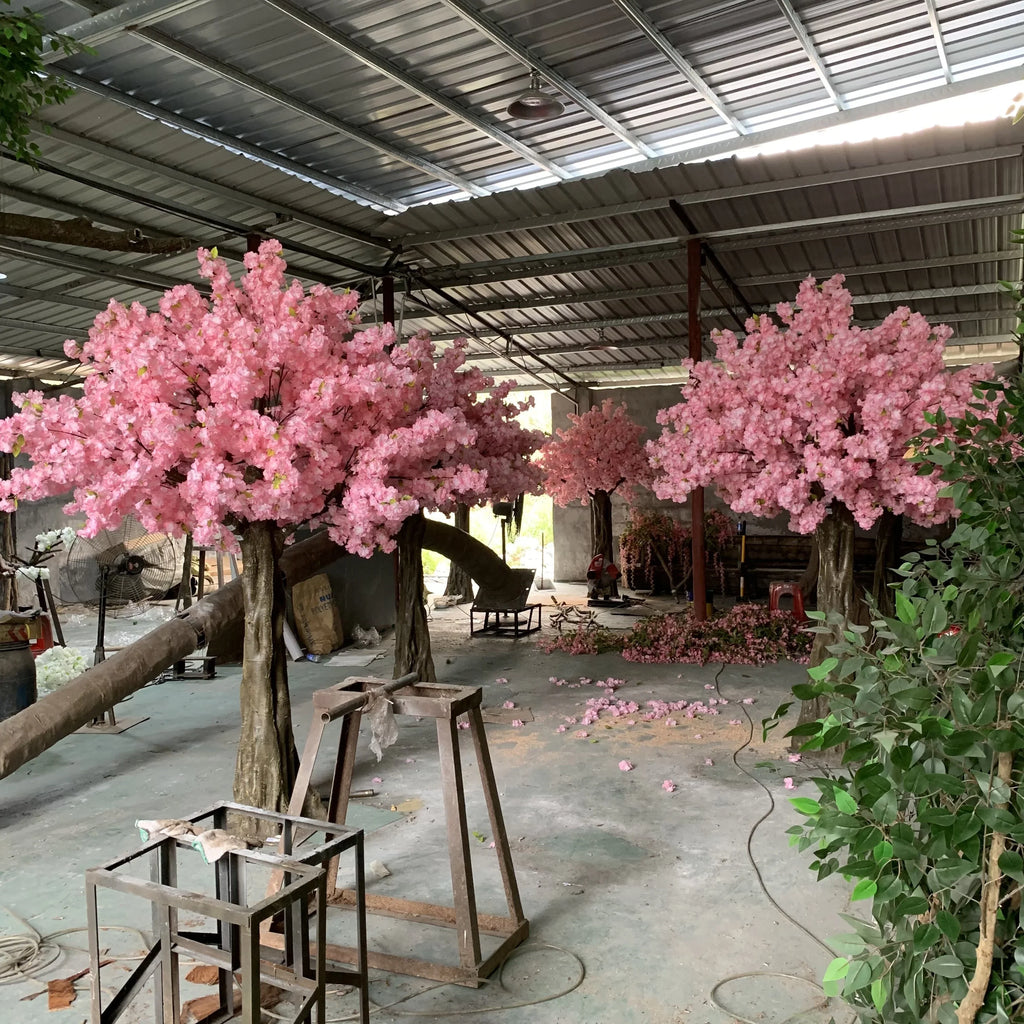Close-up of the pink sakura flowers clustered along the outer branch tips