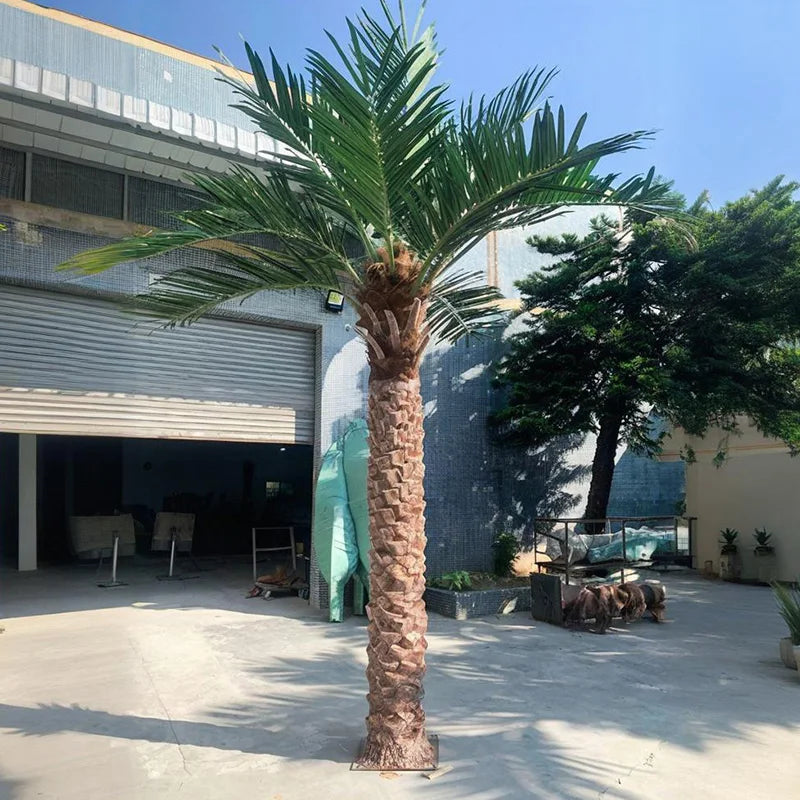 The 10ft coconut tree planted outdoors as part of a tropical landscape